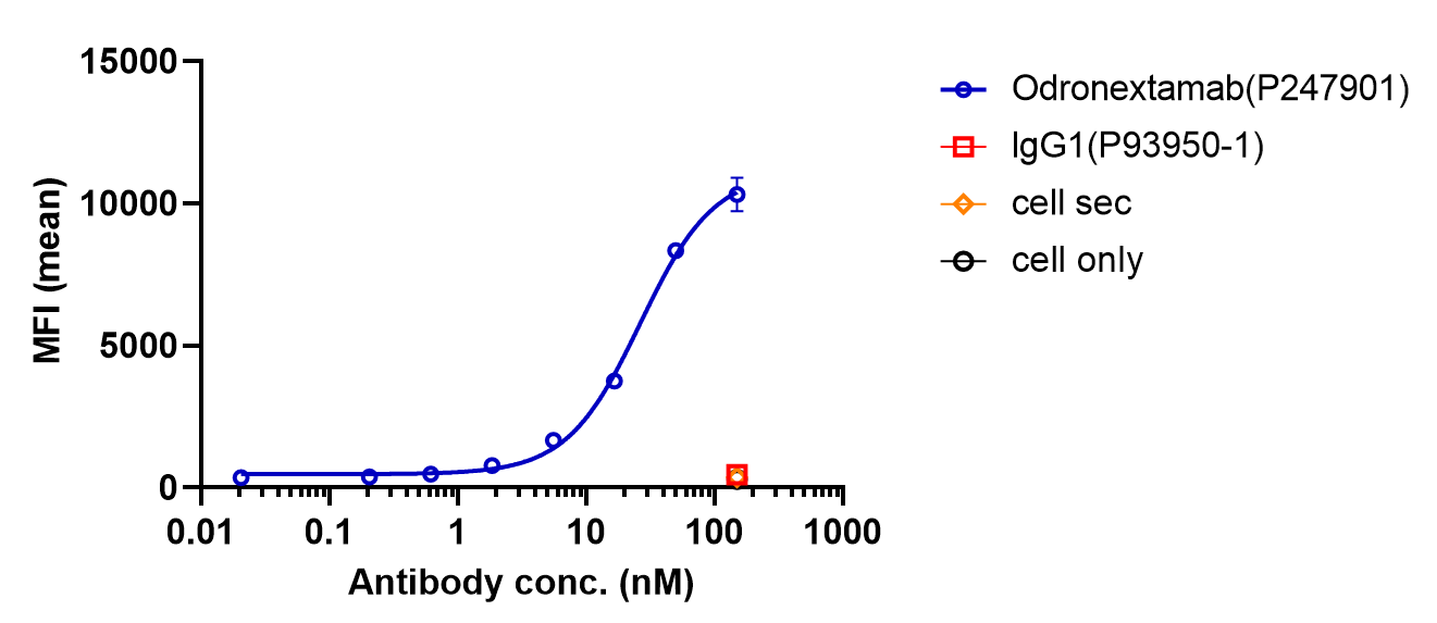 0 - Anti-CD20 & CD3 Reference Antibody (Odronextamab) APR11596