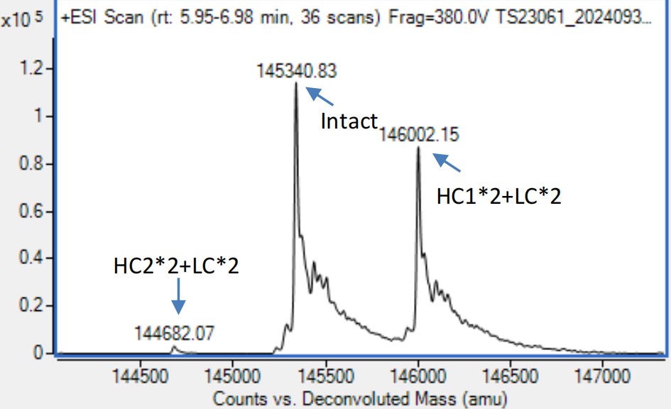 0 - Anti-CD20 & CD3 Reference Antibody (Odronextamab) APR11596