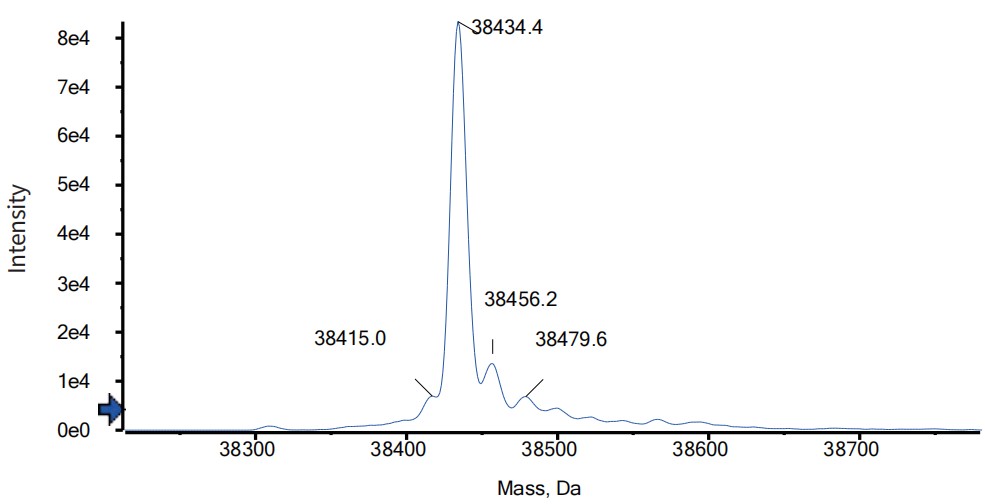 0 - Anti-TNF-alpha Reference Antibody (Ozoralizumab) APR11597