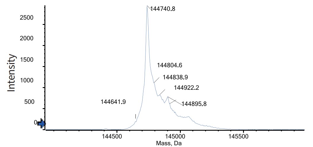 0 - Anti-B7-H4 & CD3 Reference Antibody (Gen1047) APR11598