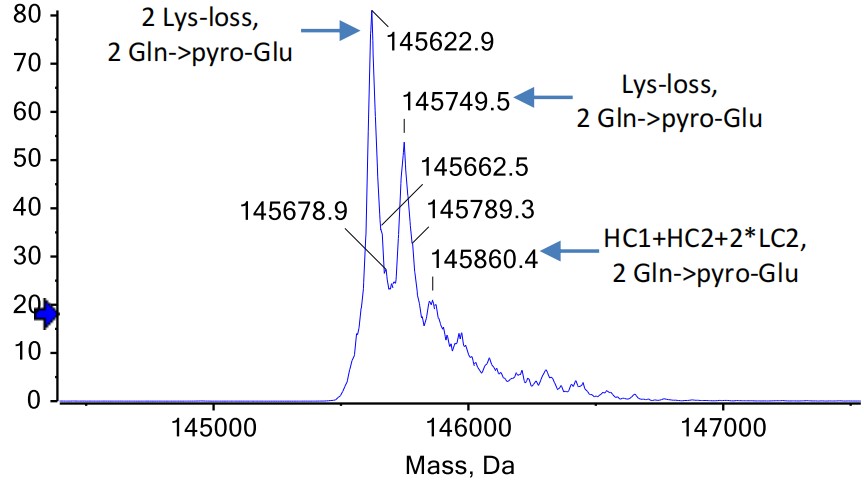 0 - Anti-cMet & EGFR Reference Antibody (Amivantamab) APR11599