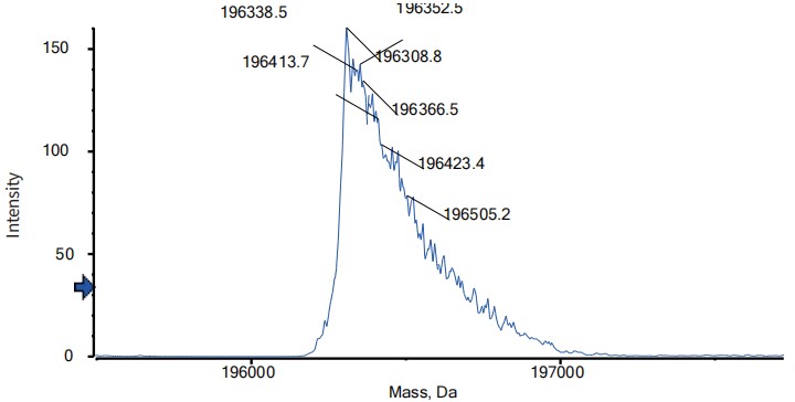 0 - Anti-EGFR & Fc-gamma-RIIIA Reference Antibody (AFM24) APR11600