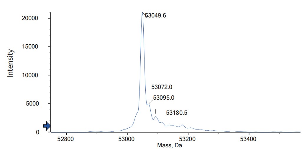 0 - Anti-CD3e & DLL3 & Serum Albumin Reference Antibody (Hpn328) APR11601