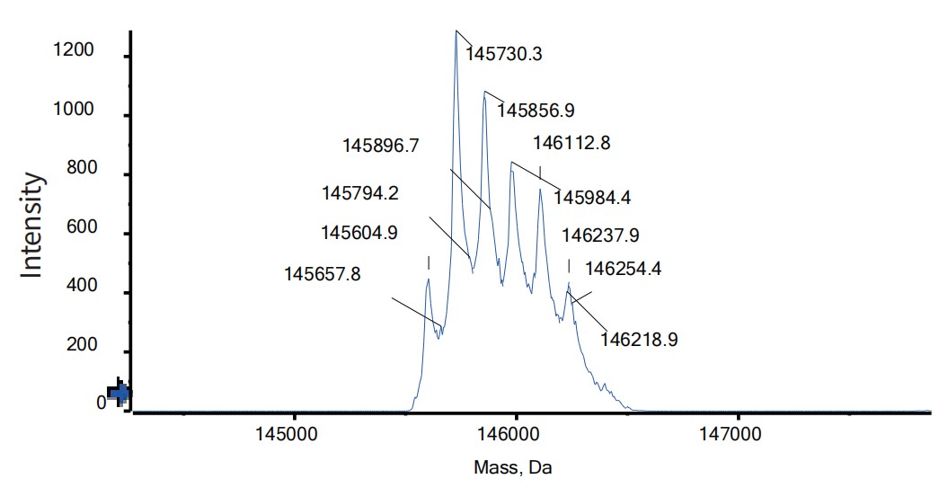 0 - Anti-CD20 & CD47 Reference Antibody (Amulirafusp alfa) APR11602