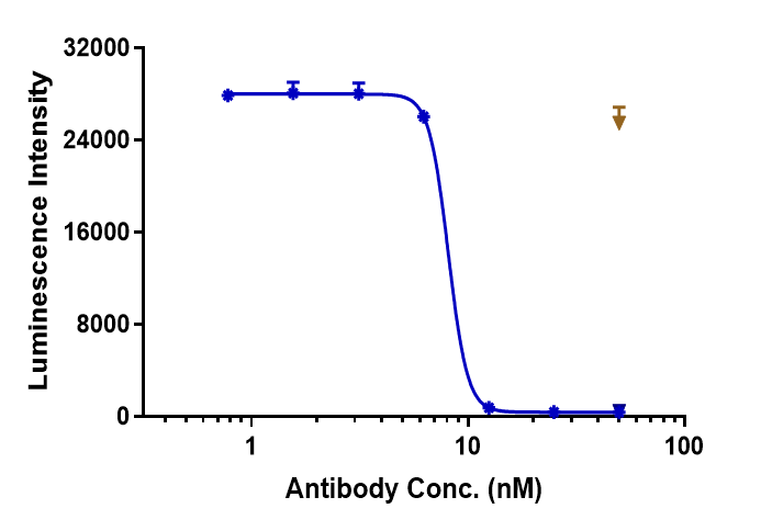 0 - Anti-ANG2 & VEGFA Reference Antibody (Faricimab) APR11604