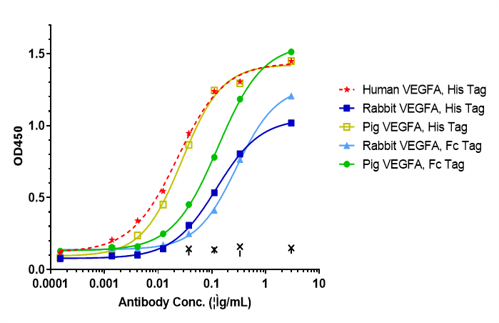0 - Anti-ANG2 & VEGFA Reference Antibody (Faricimab) APR11604