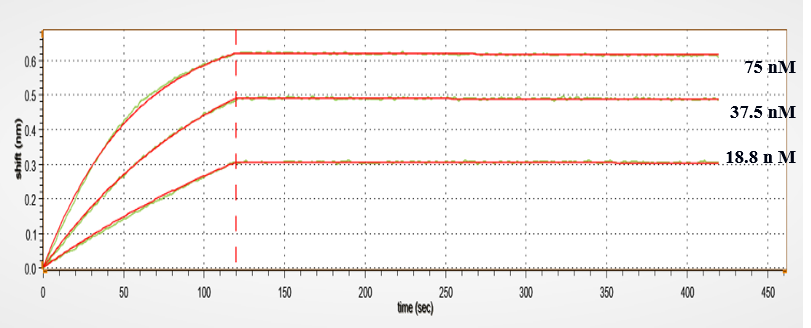 0 - Anti-ANG2 & VEGFA Reference Antibody (Faricimab) APR11604