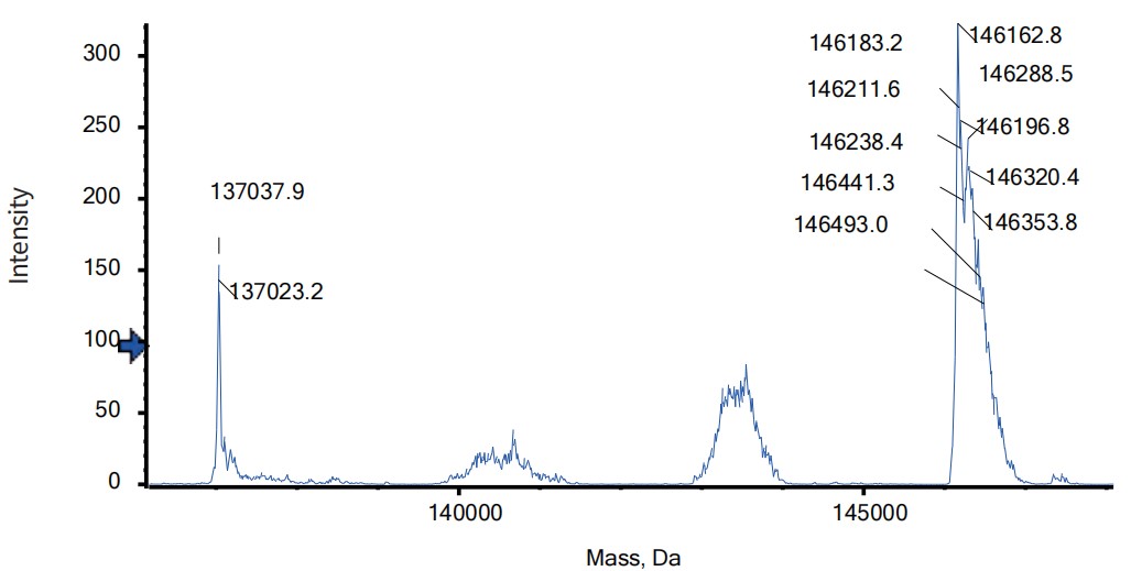 0 - Anti-ANG2 & VEGFA Reference Antibody (Faricimab) APR11604