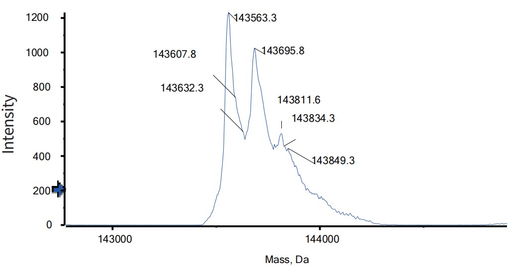 0 - Anti-PD-1 & PD-L1 Reference Antibody (Reozalimab) APR11605