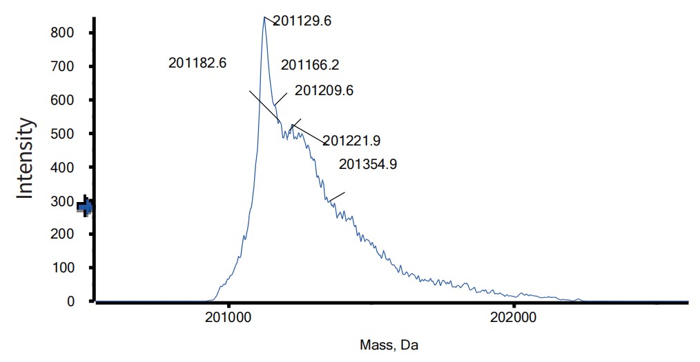 0 - Anti-PD-1 & VEGF Reference Antibody (Ivonescimab) APR11606