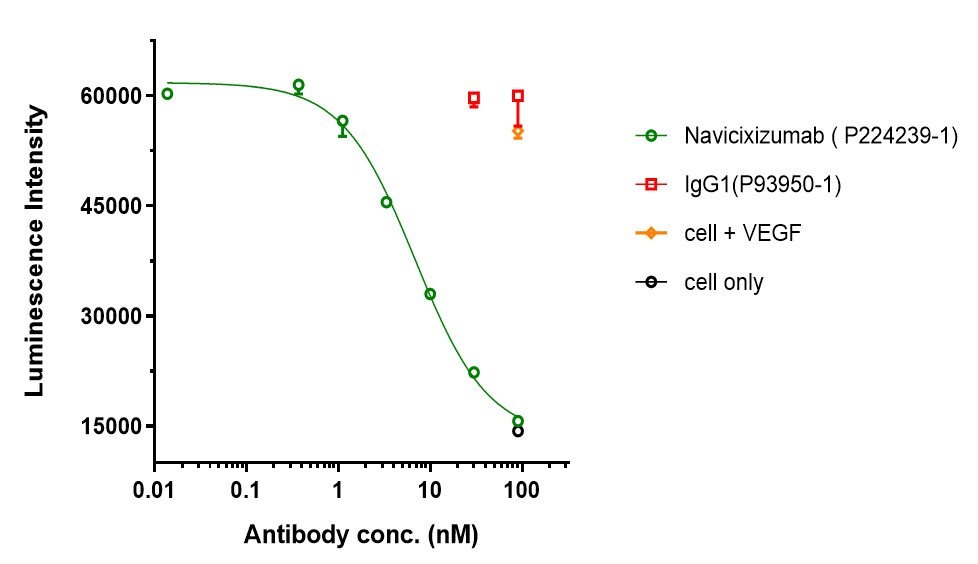 0 - Anti-DLL4 & VEGF Reference Antibody (Navicixizumab) APR11608