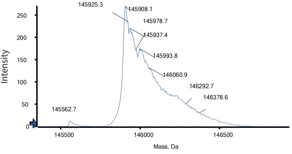 0 - Anti-DLL4 & VEGF Reference Antibody (Navicixizumab) APR11608