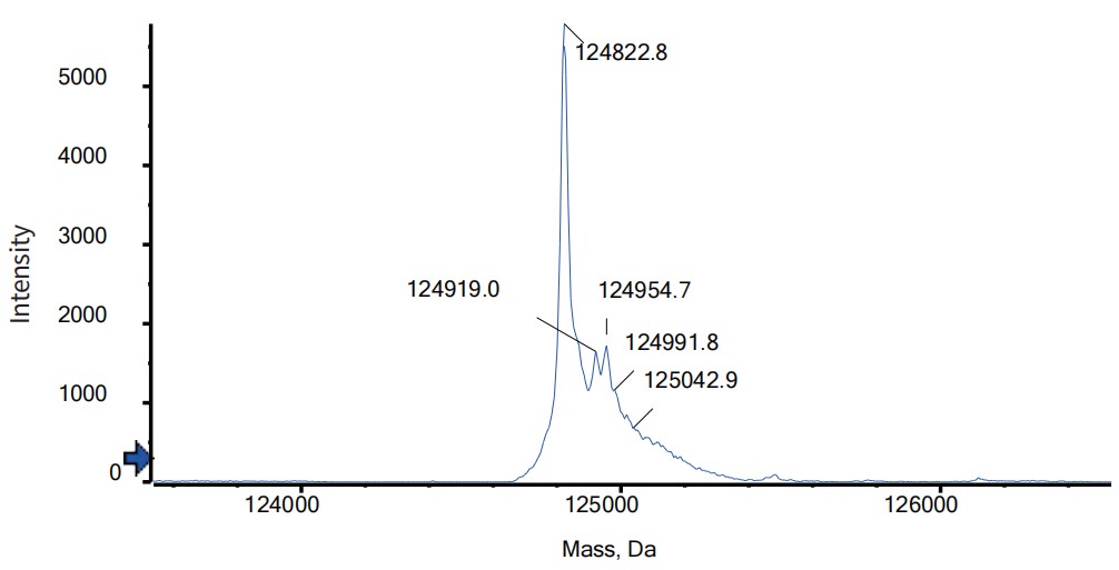 0 - Anti-HER2/neu Reference Antibody (Zanidatamab) APR11610