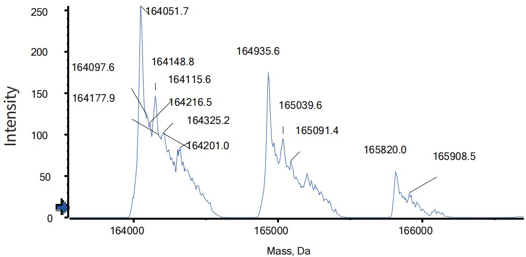 0 - Anti-LAG-3 & PD-1 Reference Antibody (Tebotelimab) APR11611