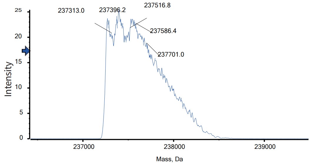 0 - Anti-LAG-3 & PD-1 Reference Antibody (Emb-02) APR11612