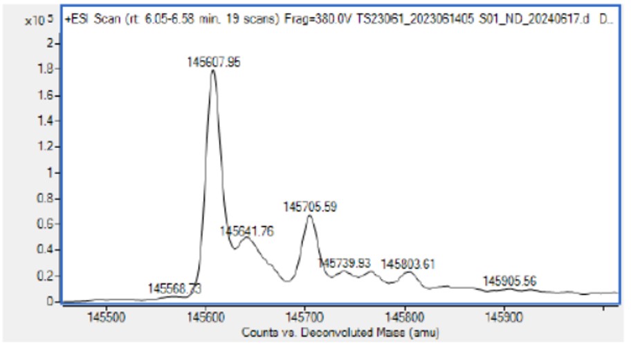 0 - Anti-Factor IX & Factor X Reference Antibody (Emicizumab) APR11613