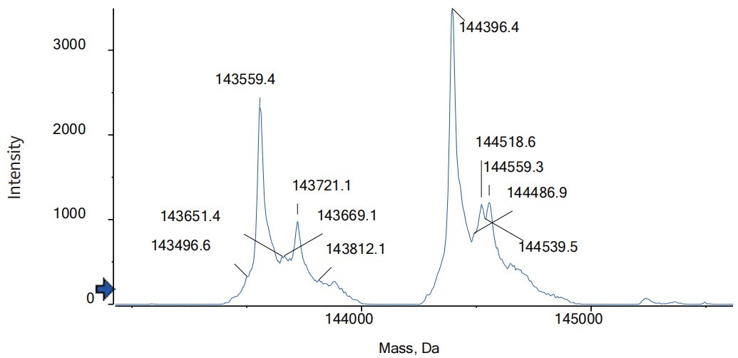 0 - Anti-CA125 & CD3 Reference Antibody (Ubamatamab) APR11615