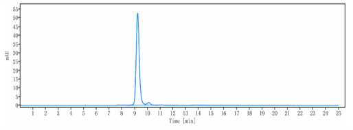 0 - Anti-ANG2 & VEGFA Reference Antibody (Vanucizumab) APR11616