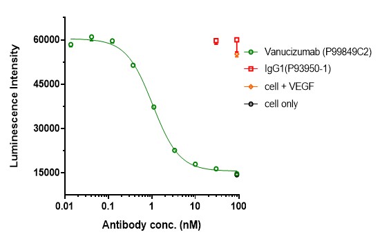 0 - Anti-ANG2 & VEGFA Reference Antibody (Vanucizumab) APR11616