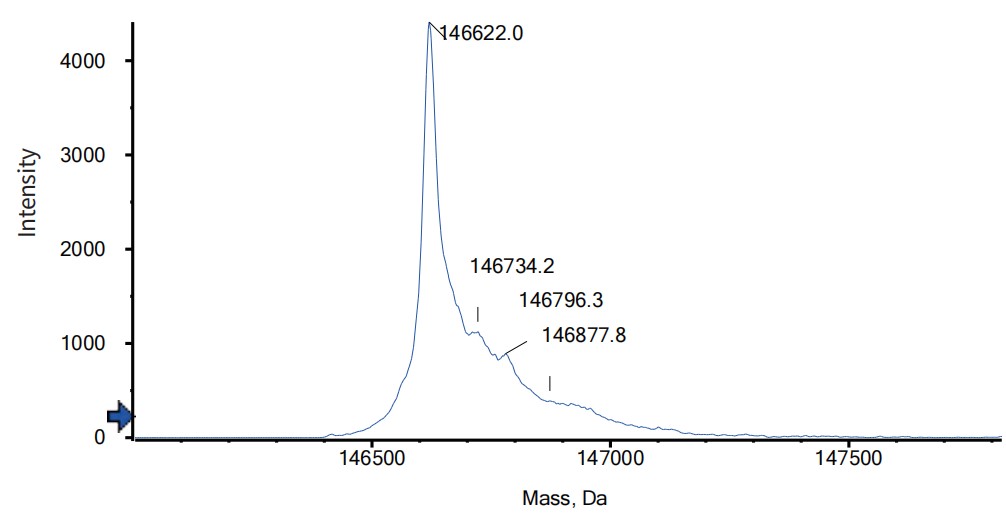 0 - Anti-ANG2 & VEGFA Reference Antibody (Vanucizumab) APR11616