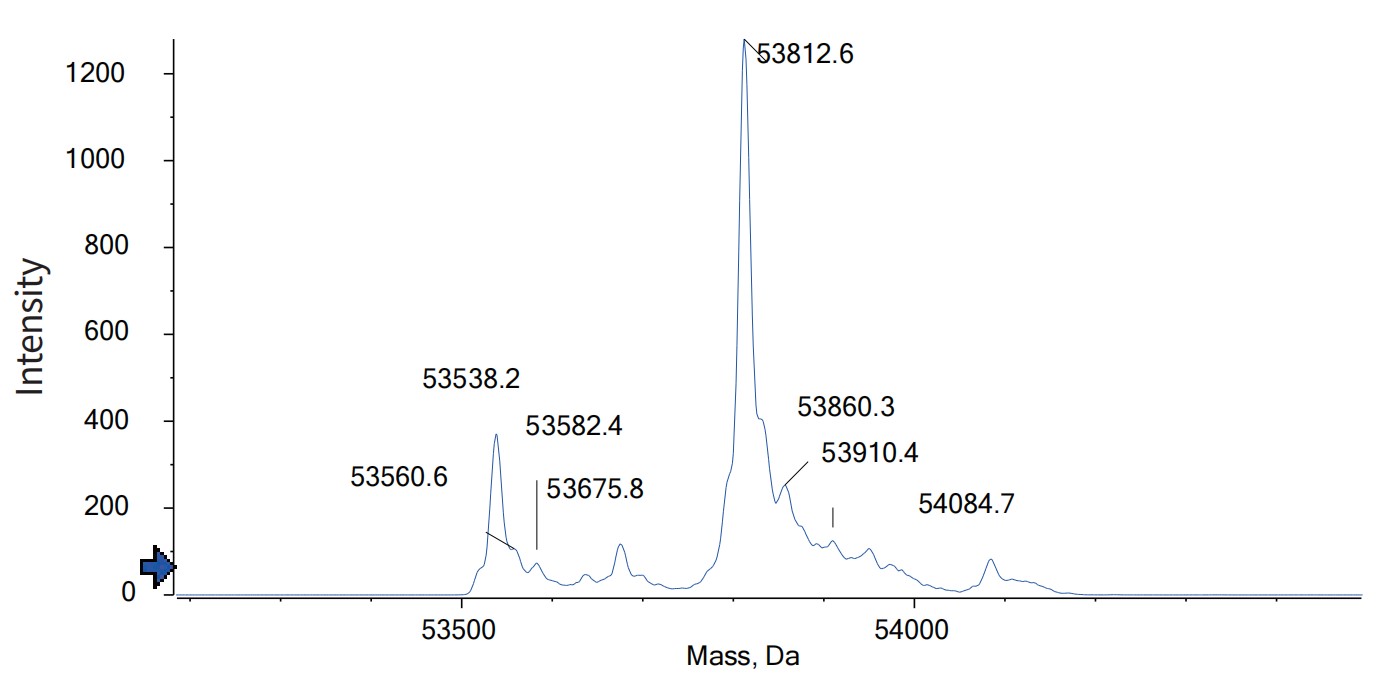 0 - Anti-CD19 & CD3 Reference Antibody (Blinatumomab) APR11617