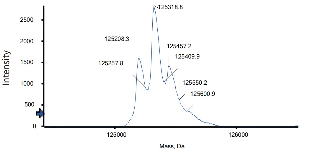 0 - Anti-CTLA4 & PD-1 Reference Antibody (Vudalimab) APR11618