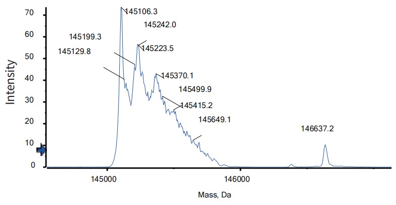 0 - Anti-PD-1 & TIM-3 Reference Antibody (Lomvastomig) APR11620