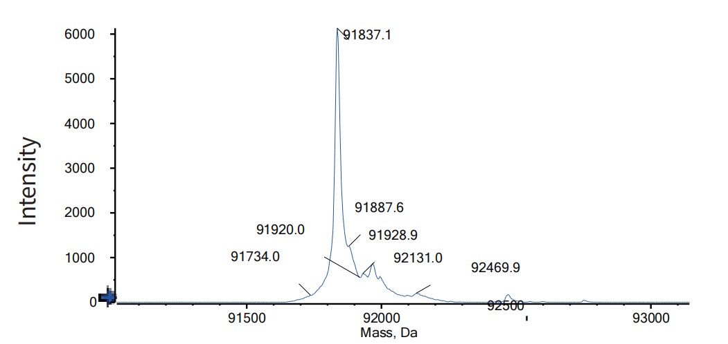 0 - Anti-CD3 & DLL3 Reference Antibody (Tarlatamab) APR11621