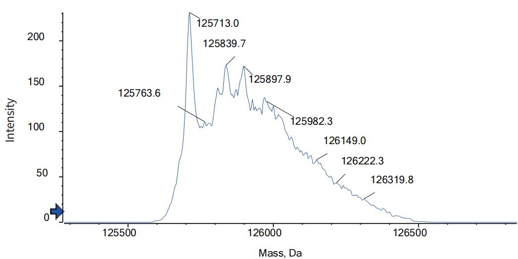 0 - Anti-CD3 & EpCAM Reference Antibody (M701) APR11622