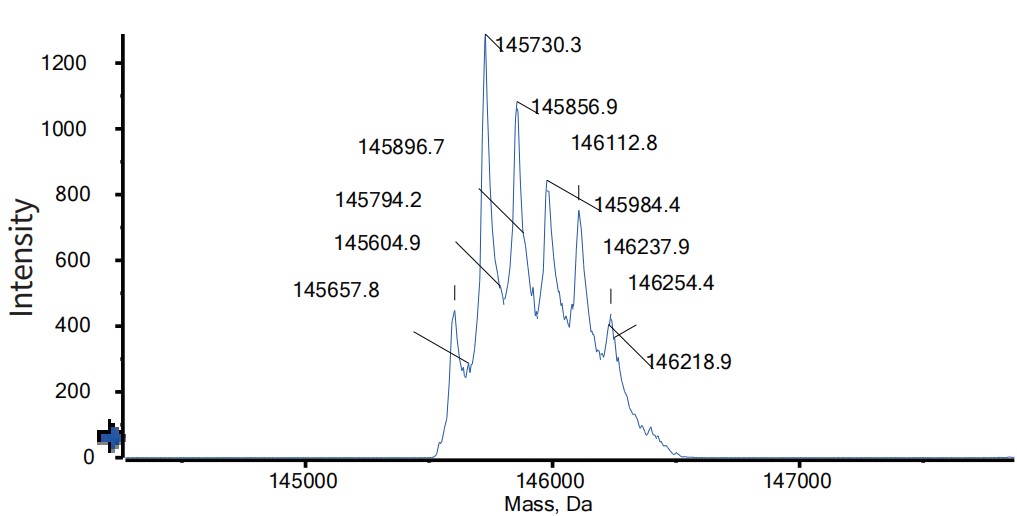0 - Anti-CD28 & PSMA Reference Antibody (Nezastomig) APR11623