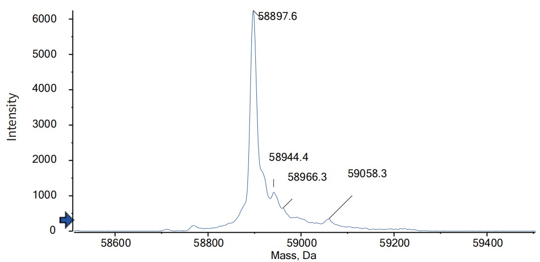 0 - Anti-CD123 & CD3 Reference Antibody (Flotetuzumab) APR11624