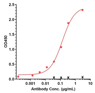 0 - Anti-Amyloid Beta Reference Antibody (Aβab001) APR11626