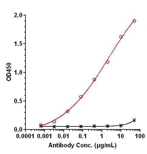 0 - Anti-DKK2 Reference Antibody (Yale U. patent anti-DKK2) APR11628