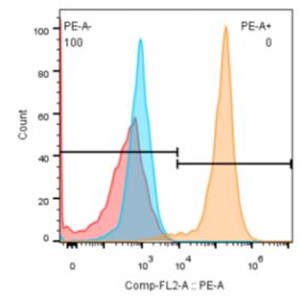 0 - Anti-CCR7 / CD197 Reference Antibody (CAP-100) APR11645