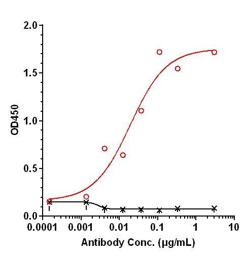 0 - Anti-CD19 Reference Antibody (Budoprutug) APR11647
