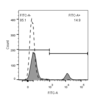 0 - FITC Anti-Human CD20 (2H7) APR11651
