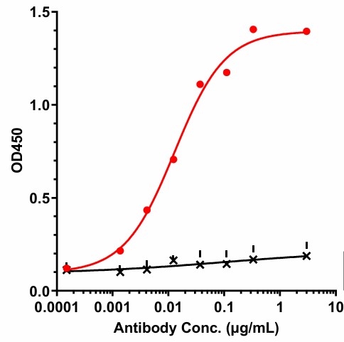 0 - Anti-CD26 Reference Antibody (YS110) APR11671