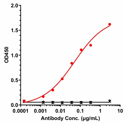 0 - Anti-ERBB2 / HER2 / CD340 Reference Antibody (HLX-22) APR11672