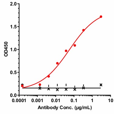 0 - Anti-S100A4 Reference Antibody (AX-202) APR11704