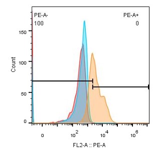 0 - Anti-STEAP2 Reference Antibody (AZD0516) APR11707