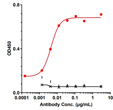 0 - Anti-TNFRSF13C / BAFFR / CD268 Reference Antibody (ianalumab(FUT8-KO)) APR11708