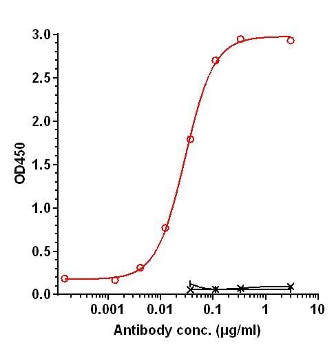 0 - Anti-BCMA Reference Antibody (Teclistamab-anti-BCMA) APR11710